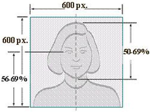 美签照片规格.jpg